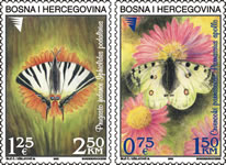 fauna---butterflies-set